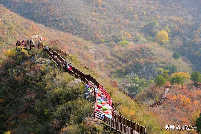 焦作窄门的深秋色彩！走五彩步道，赏太行红叶