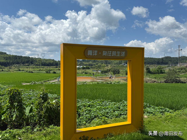 莆田仙游梅洋村，藏着深山里的民宿集群