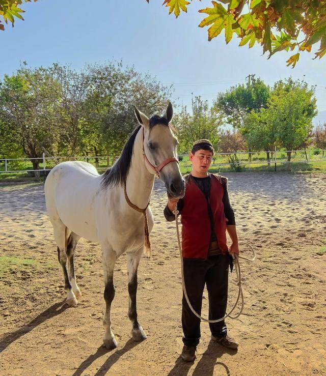 中亚五国行（18）——圆梦汗血宝马【土库曼】