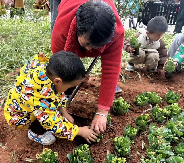 屏山县长江社区文化节周周有活动丨为家园添新绿！丁发社区“小花园”绿化共护“认领”养护活动等您来参与