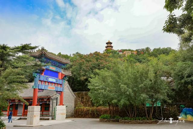 无需附庸风雅，因为这处“秘境”是真的雅致——