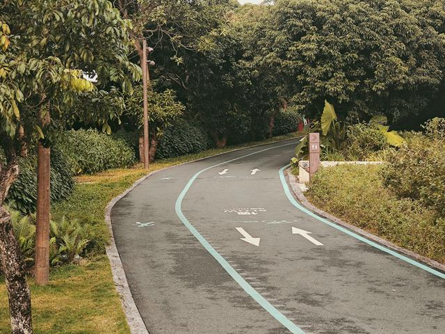 环西丽湖绿道骑行慢行随拍-动个好奇心