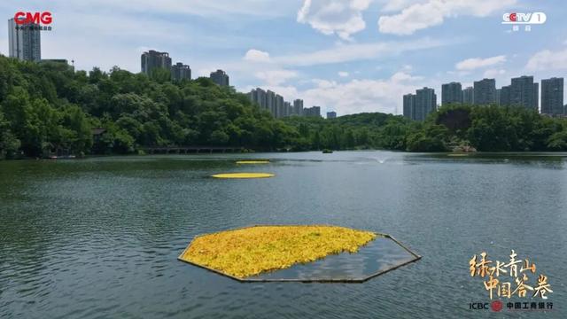 青山入城廓，碧水绕巴渝：重庆绘就山水之城绿色转型新图景