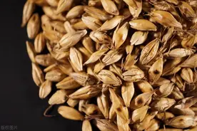 2味小方来活用，前列腺肥大，腺体缩小，排尿困难可缓解图片