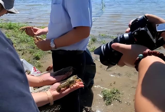 专家确认是新疆首次发现, 可渔民20年前就发现了, 以前每年都能捞到