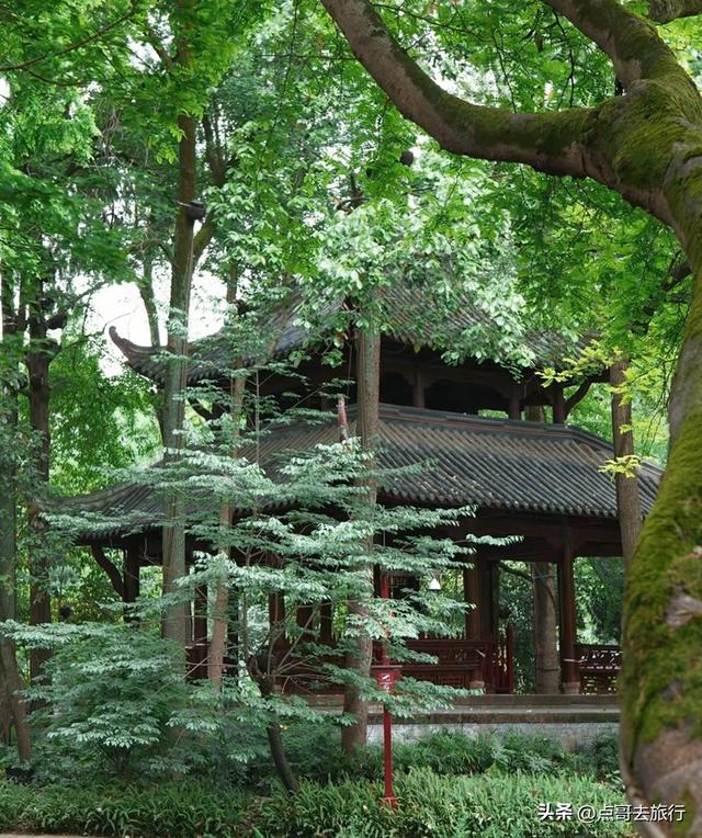 成都4大名园清凉避暑，很低调，其中唐代园林孤本，少有人去过！