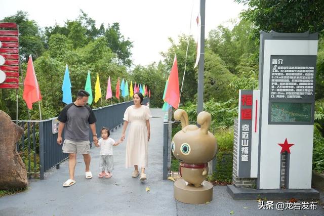 龙岩森林公园3公里步栈道焕新升级