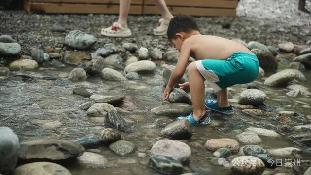 枕溪水、伴林风，崇州这个营地好玩又出片