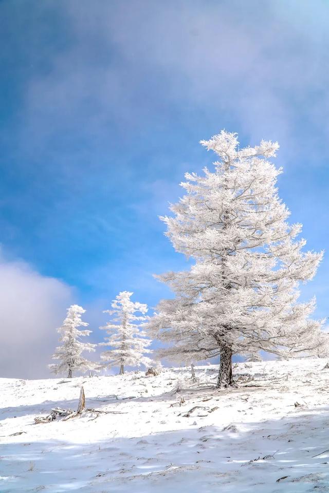 【文明旅游】太原市娄烦县：云顶之上，雪落成诗，来娄烦云顶山，遇见冬日童话