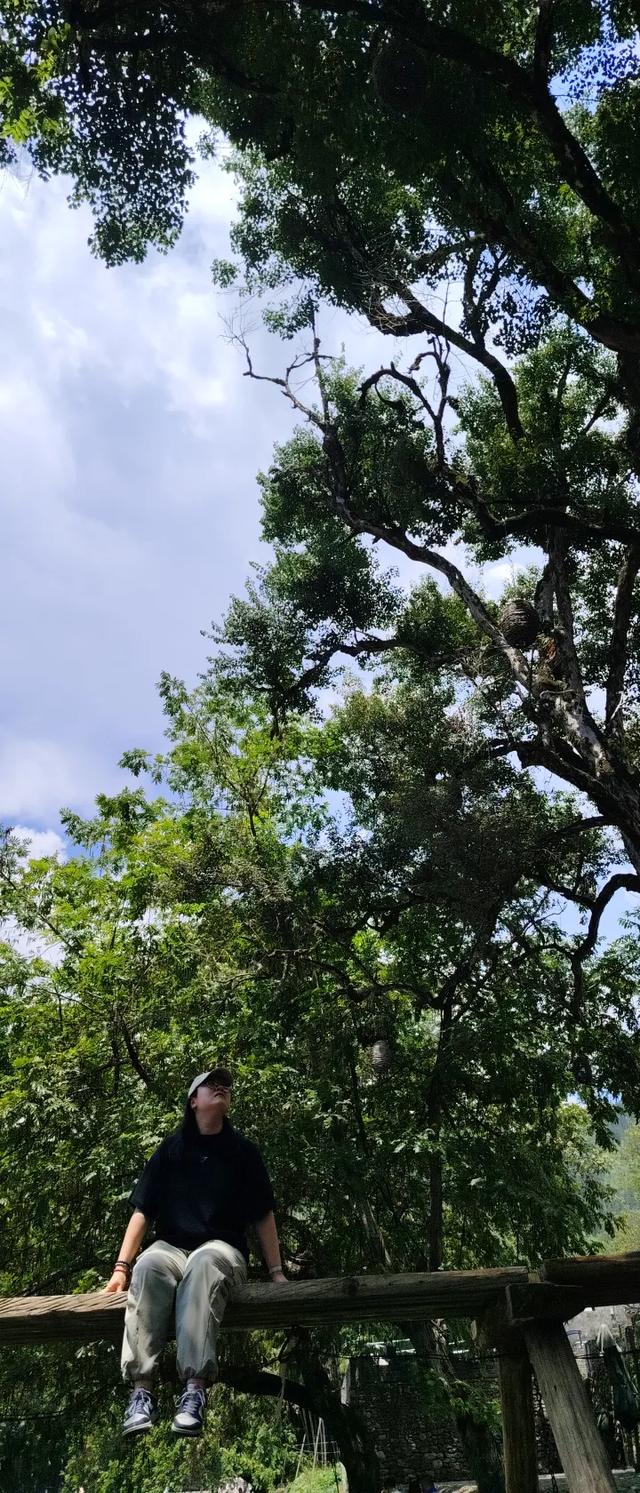 景瑶东行记