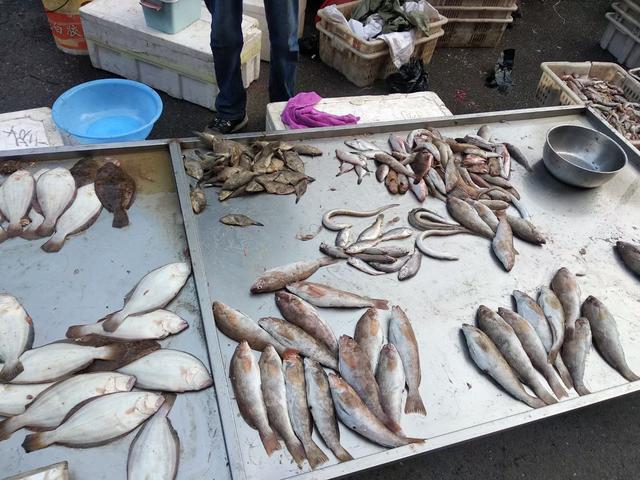 2026年元旦假期，有2个好消息，记得：1不留，2不囤，3处不能空