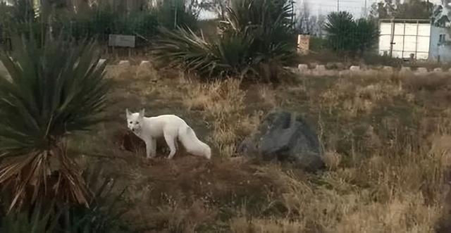 不止江湖恩怨！金庸为运城定制的旅游线，藏着中式浪漫