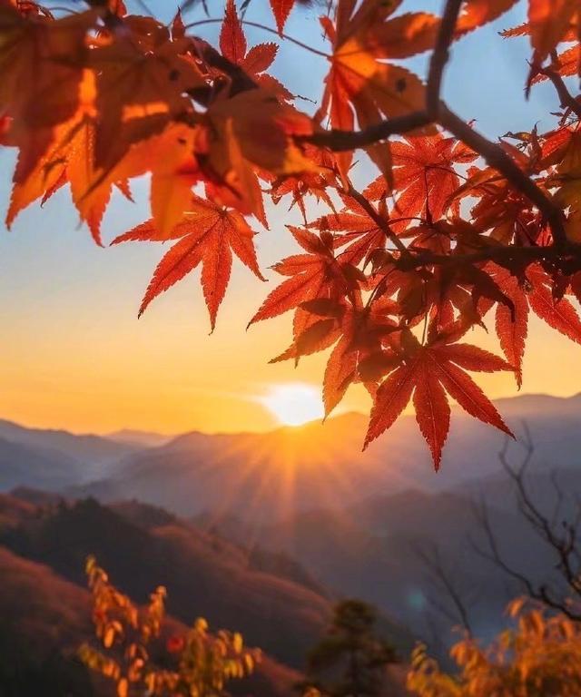 能量差时别找喜欢的人：越凑越没辙，不如先顾好自己