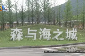 为了省钱找中介，一年过去了，中介......图片