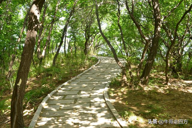 河北百草畔（上）：风动孤石悬险韵，蚁巡深岭蕴生机