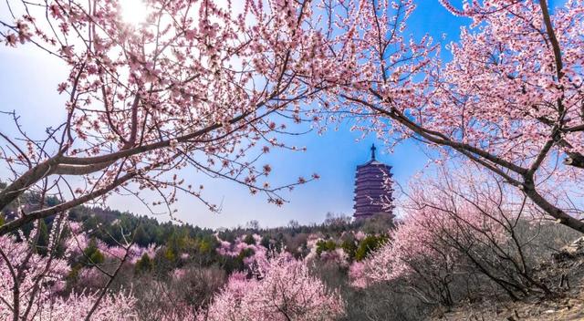 “丰”韵四季 | 一河铺锦绣，园博绽芳华