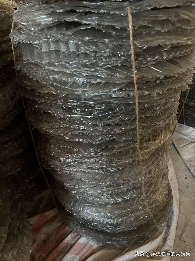 游赏过九鼎山后，我又跑到一户院里“强买”了大爷种在路边的白菜