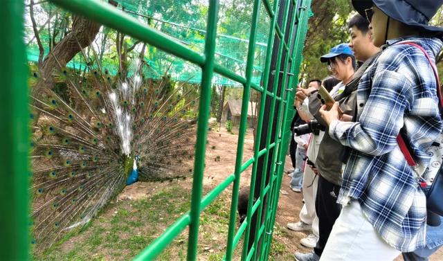 @everyone,初冬来老北山撒欢吧!