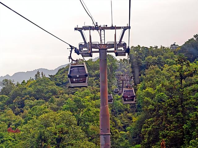四川旅游：三到两佛山曲折纪行（图）