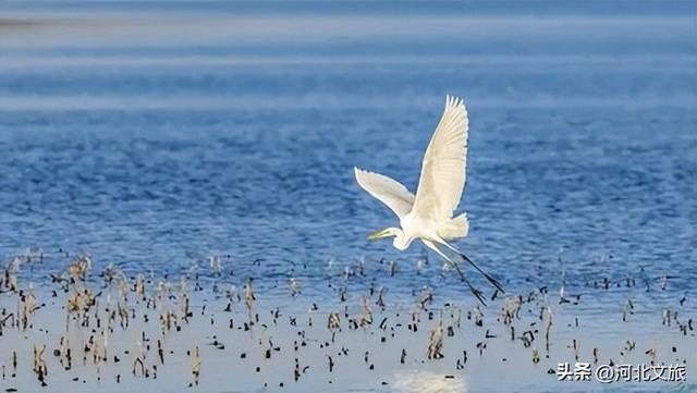 秋天的溢泉湖流光溢彩，将浪漫与温馨装满