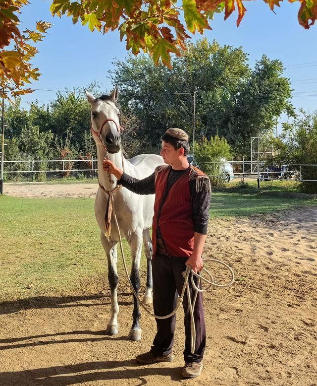 中亚五国行（18）——圆梦汗血宝马【土库曼】