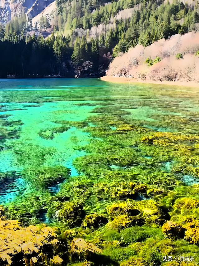 我在九寨沟踩了一脚“碎钻”，才懂日子里的光根本藏不住