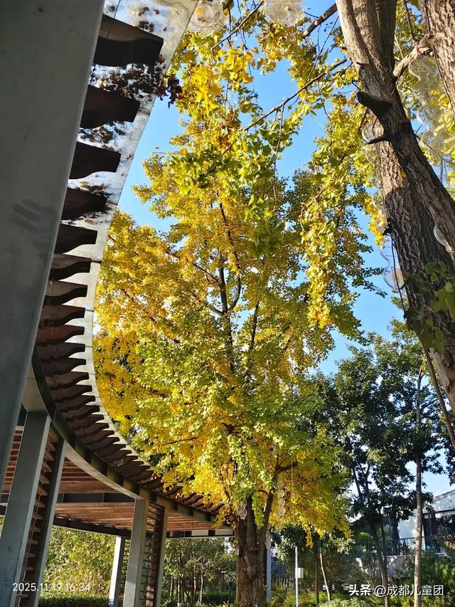 成都公园地图丨晒太阳不打挤的20个公园,东南西北全覆盖