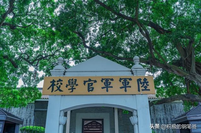 广州十大必打卡景点全攻略：从地标之巅到岭南秘境