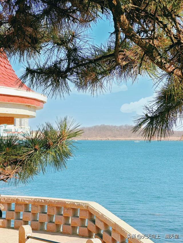 我是成都人，去了趟山东青岛，实在忍不住想说：对青岛的 5 点印象