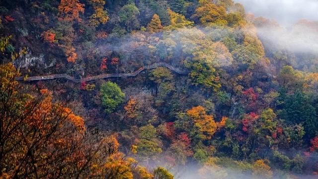 大山里的仙境，漫山红叶，斑斓如画，藏着中国最“英雄”的秋天！