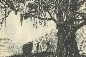 民间故事：高山下的花环图片