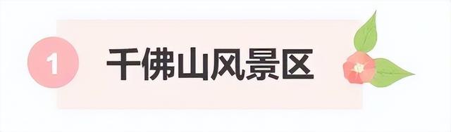 济南第一波蜡梅开了！这些赏梅地，赶紧冲！