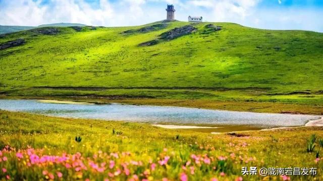 千年药乡•康养宕昌 | 别等！宕昌大草原的“绿毯”要收了，现在打卡正当时