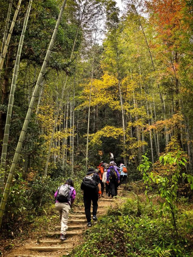 旅游的乐趣之一——结交更多的知己好友