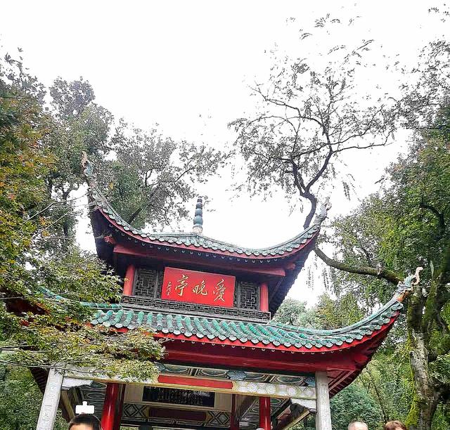 从爱晚亭捡来一枚红叶