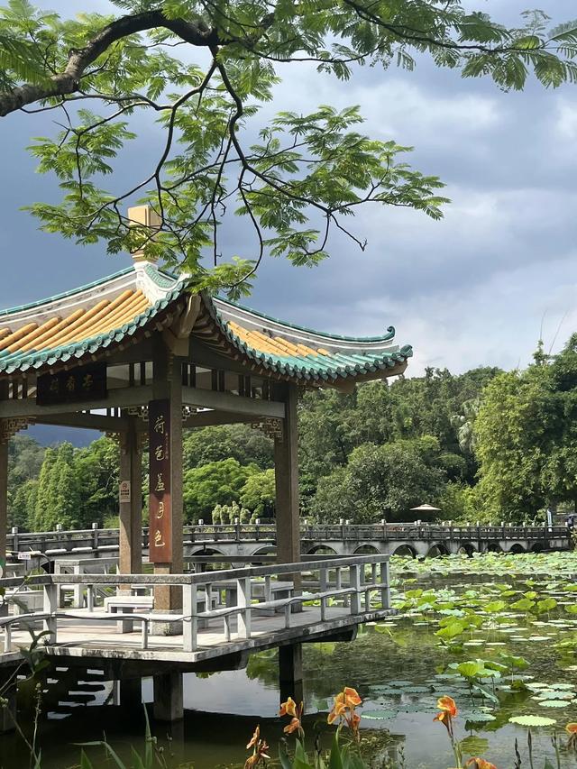 没去全的广东景点，游客扎堆却藏着冷门玩法。