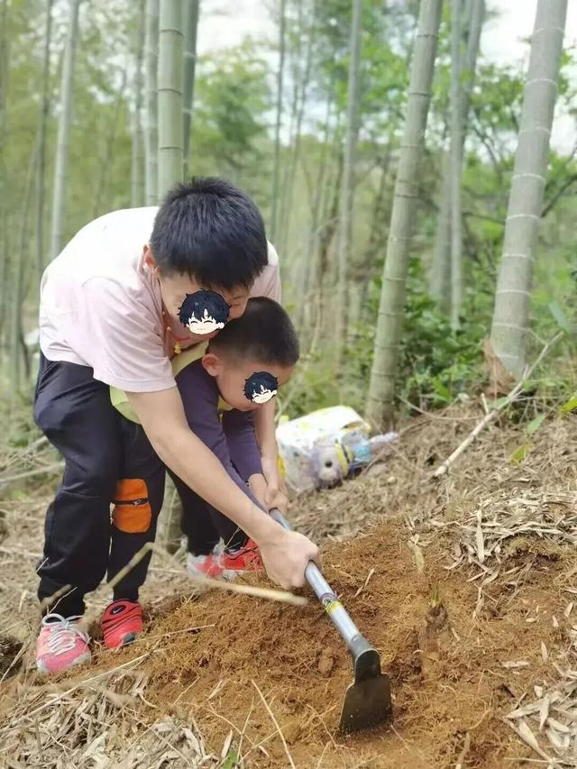 从化寻宝挖冬笋，摘砂糖橘任意吃，土窑烤披萨，DIY非遗竹节人！