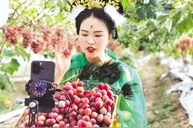 宛城区组织主播到田间地头直播销售农产品——电商拓宽群众致富路图片