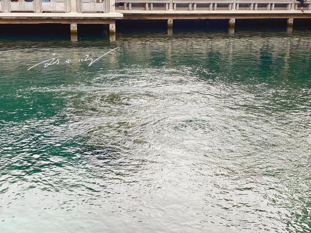 “泉城”济南名片趵突泉：七十二名泉之首的传奇，你来探访过吗？