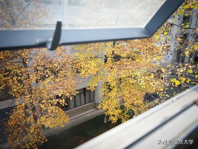 重大限定皮肤上新,超出片!🤳