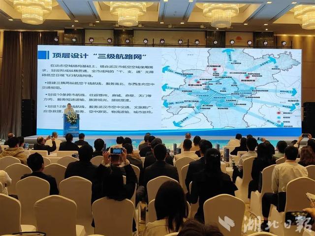 武汉33条低空航线获批