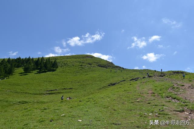 河北麻田岭（上）：绿野铺毡接云影、风轮伴路探山魂