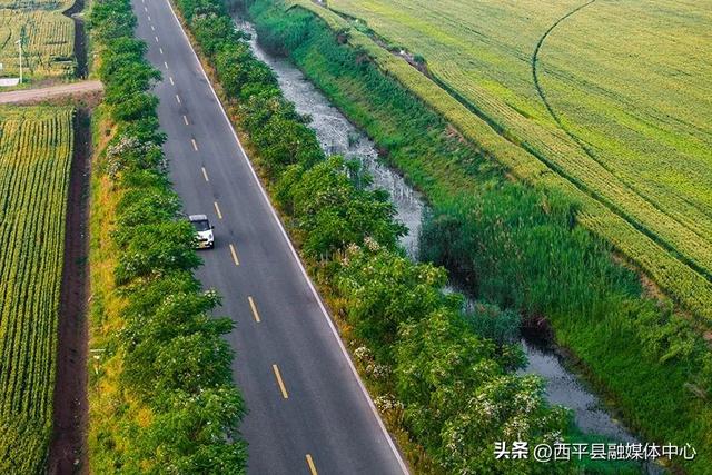 老王坡实现蝶变的密码是什么？