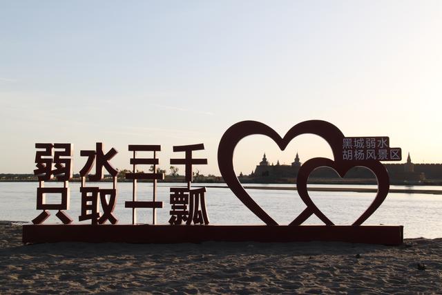 额济纳旗的胡杨林