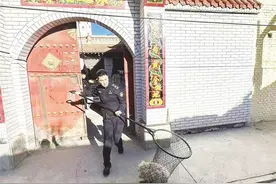 推行“捕捉＋收容”的管理模式开展流浪犬整治 提升群众安全感图片