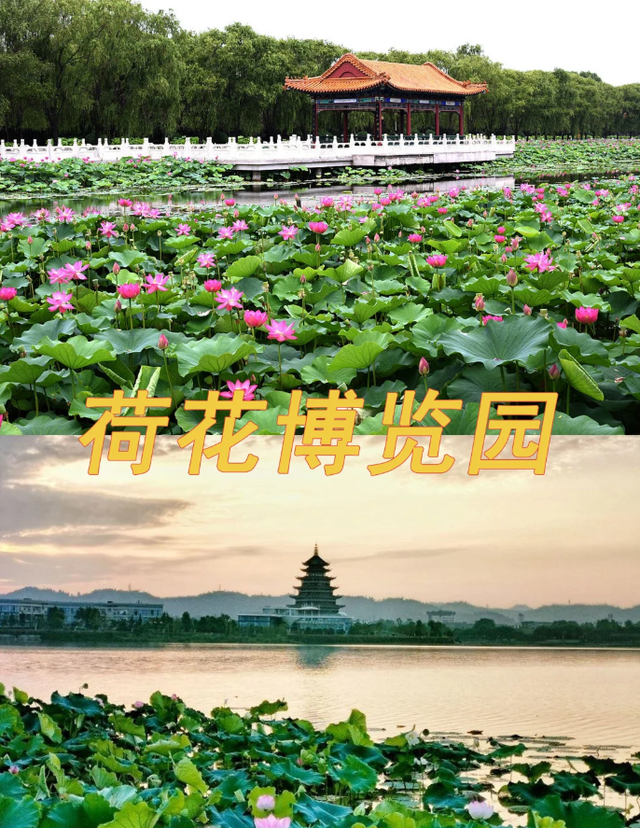 我是天水人，一家人来了趟江西萍乡，实在忍不住要说下这五个疑问