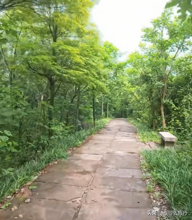 成都龙泉山被冷落的徒步线路，视野超级惊艳，地铁公交车可达！