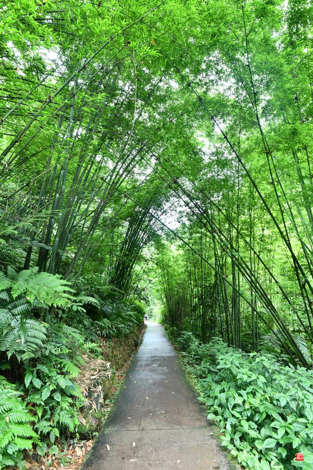 赤水四洞沟瀑布