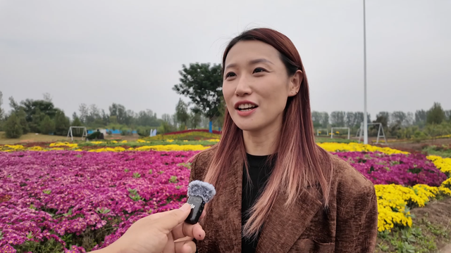 古城双节菊展 金秋醉游人
