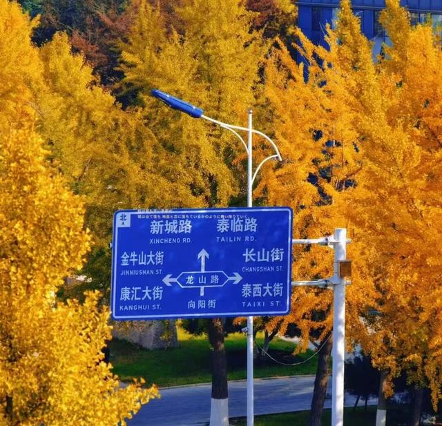 肥城秋冬的童话，收到了吗～满满诗意，满满爱！